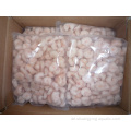 Top IQF Pud Red Shrimp Solenocera Melantho